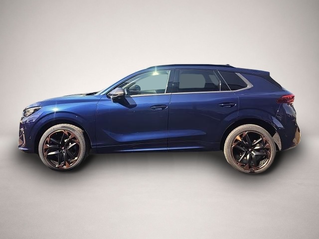 Cupra Terramar (05/2026, Benzin)