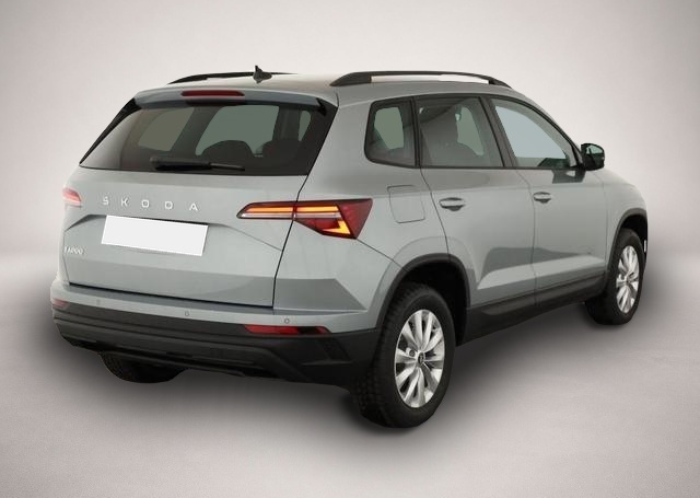 Skoda Karoq (05/2026, Benzin)