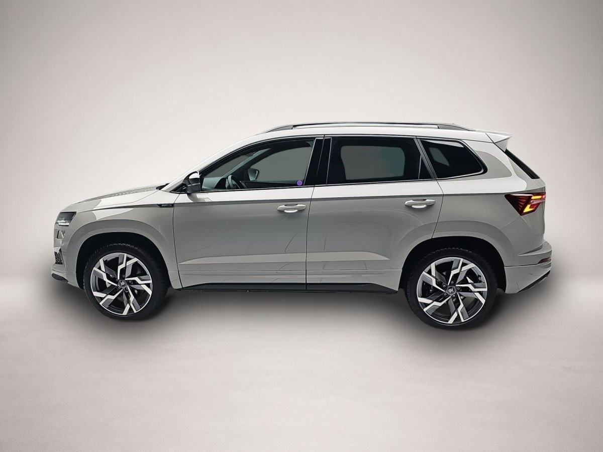 Skoda Karoq (04/2026, Benzin)