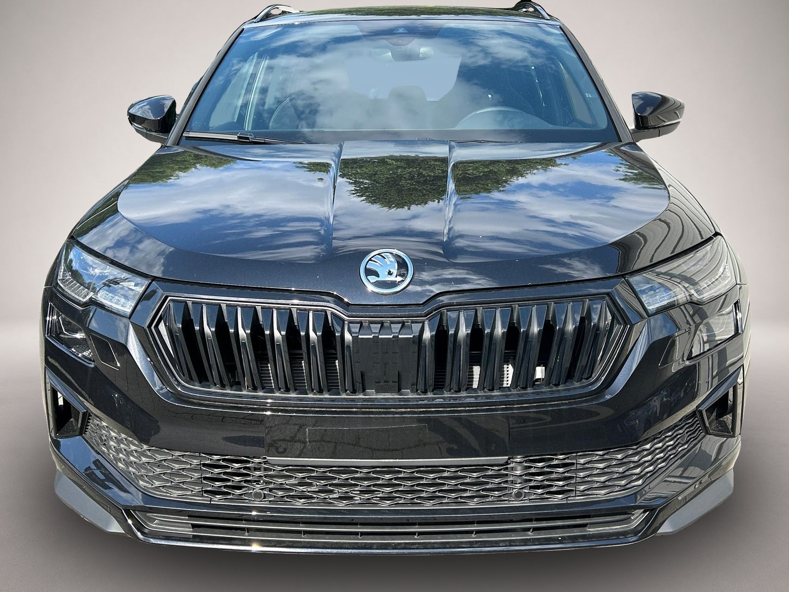 Skoda Karoq (08/2026, Diesel)