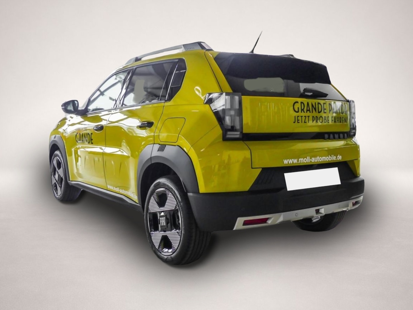 Fiat Grande Panda (, ELECTRIC)