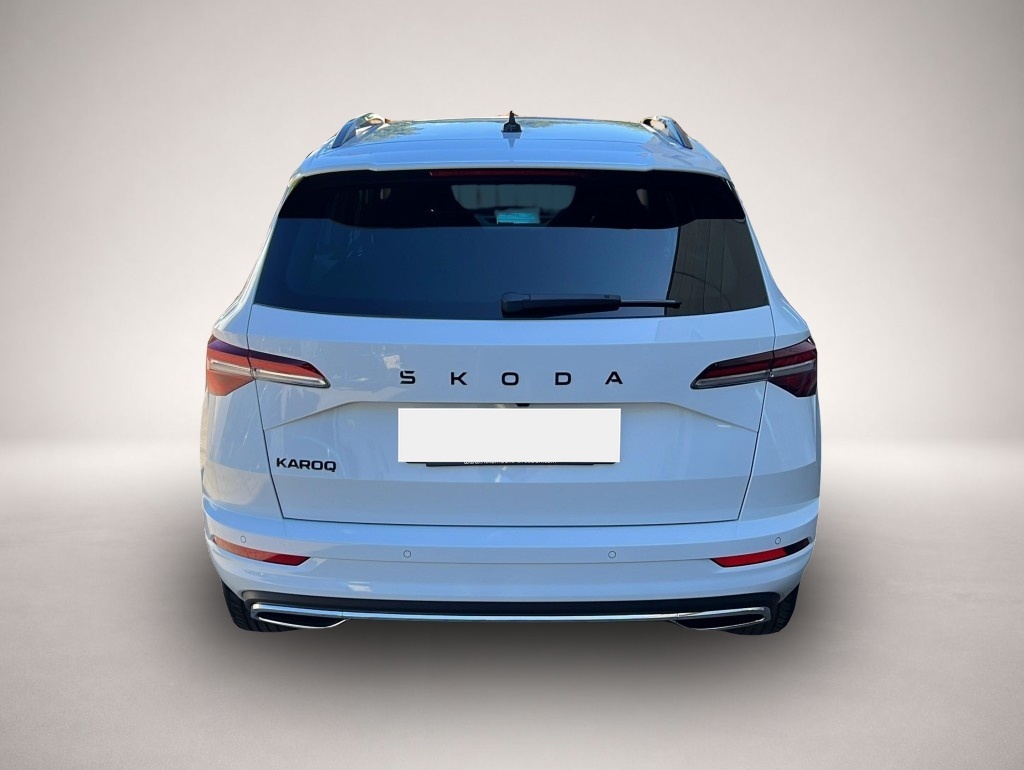 Skoda Karoq (01/2026, Benzin)