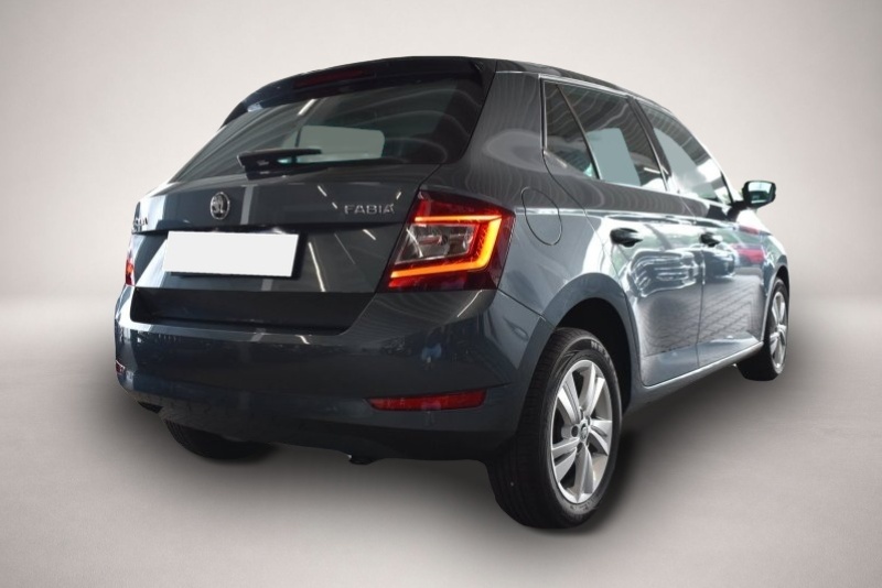 Skoda Fabia (01/2020, )