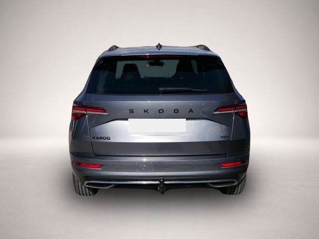 Skoda Karoq (06/2026, Diesel)