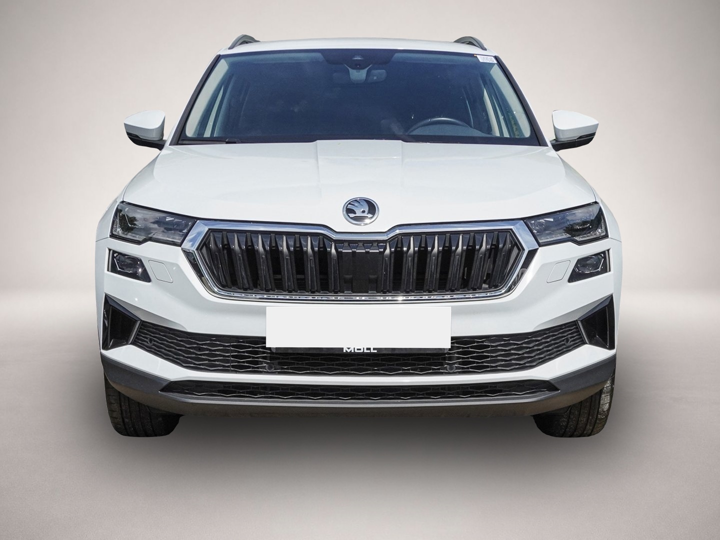 Skoda Karoq (03/2023, Benzin)