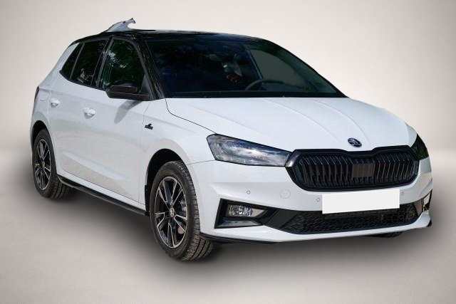 Skoda Fabia (, Benzin)