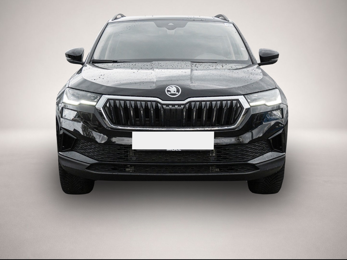Skoda Karoq (06/2025, )