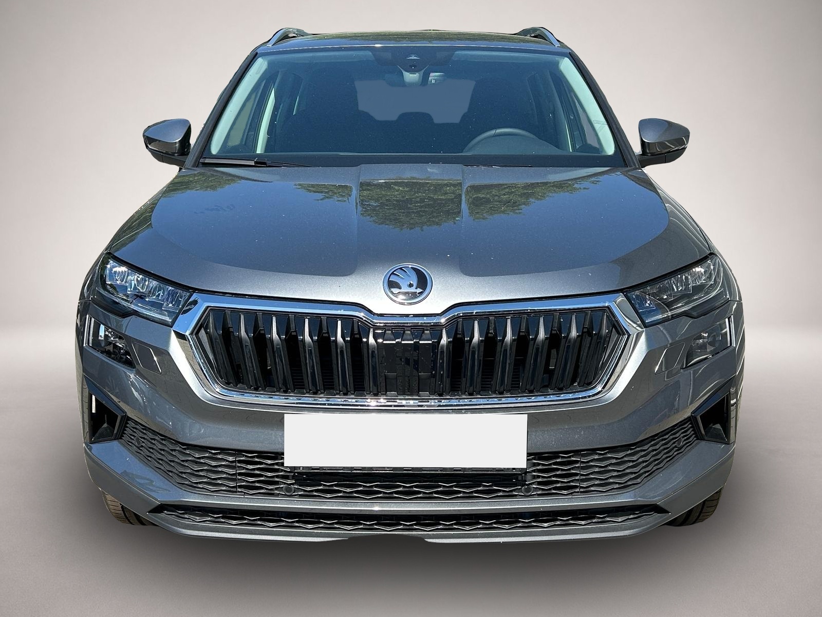 Skoda Karoq (05/2026, Diesel)