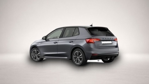 Skoda Fabia (06/2026, Benzin)