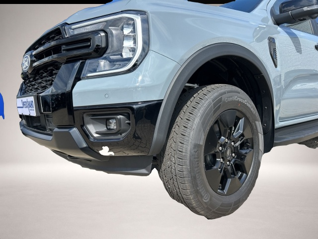 Ford Other (, Hybrid (Benzin/Elektro))