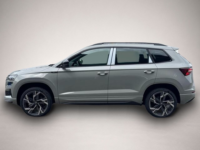 Skoda Karoq (06/2026, Benzin)