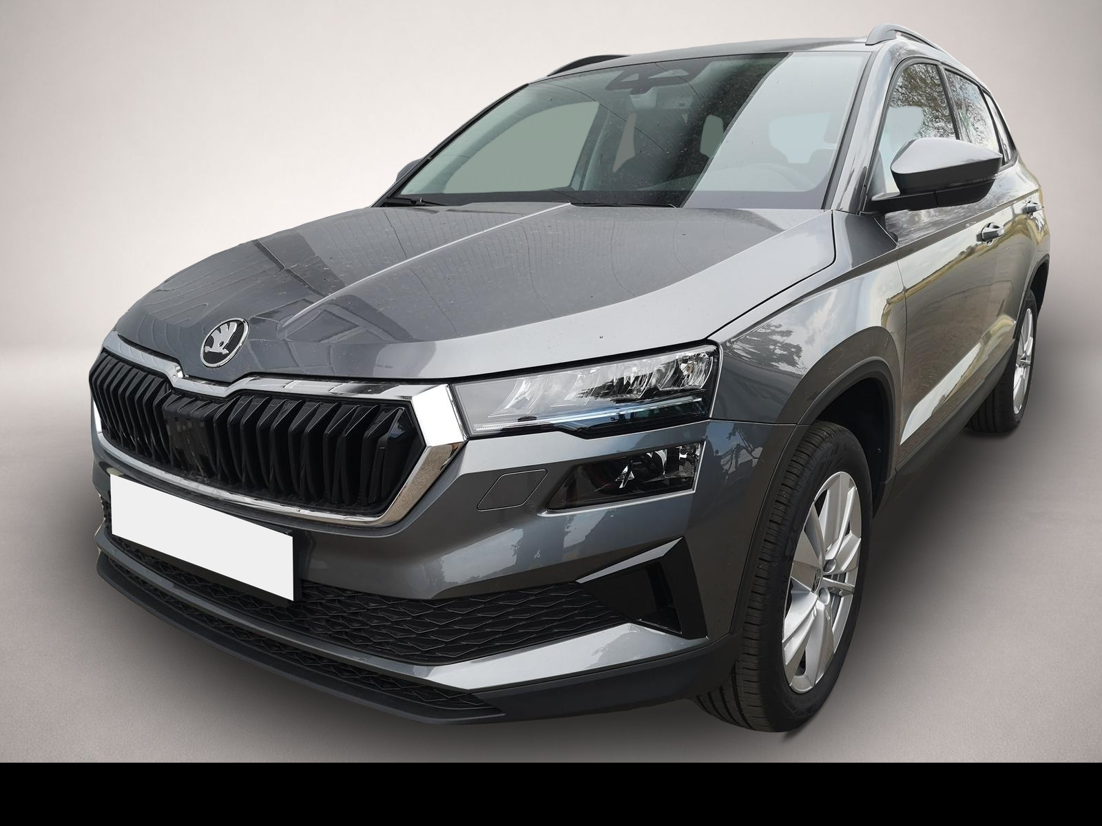 Skoda Karoq (05/2026, Benzin)