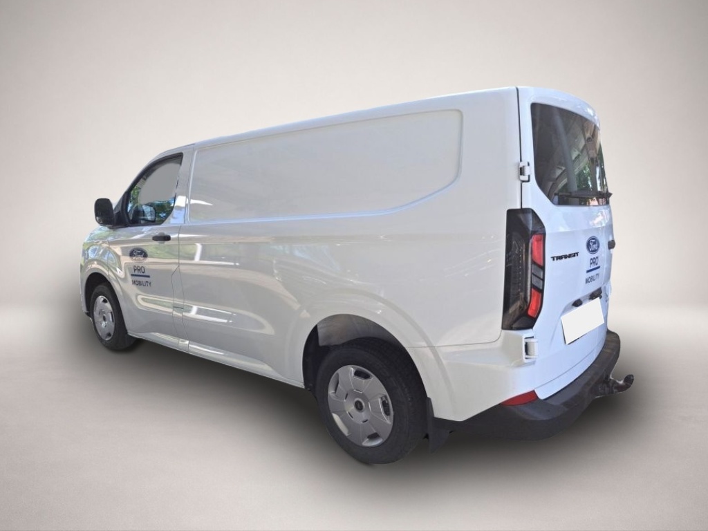 Ford Other (11/2024, )