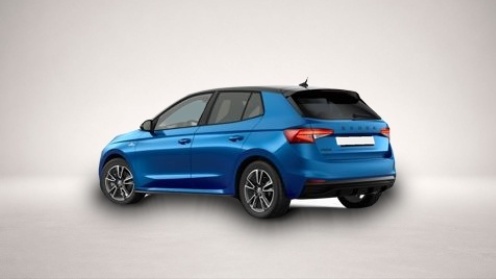 Skoda Fabia (, Benzin)
