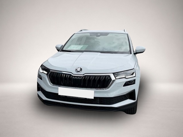 Skoda Karoq (03/2023, )