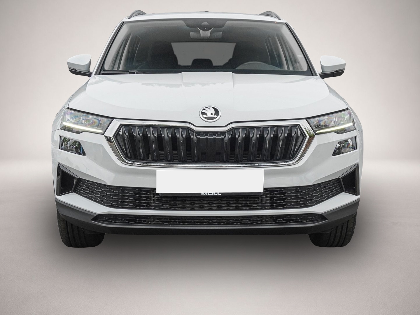 Skoda Karoq (05/2024, Benzin)