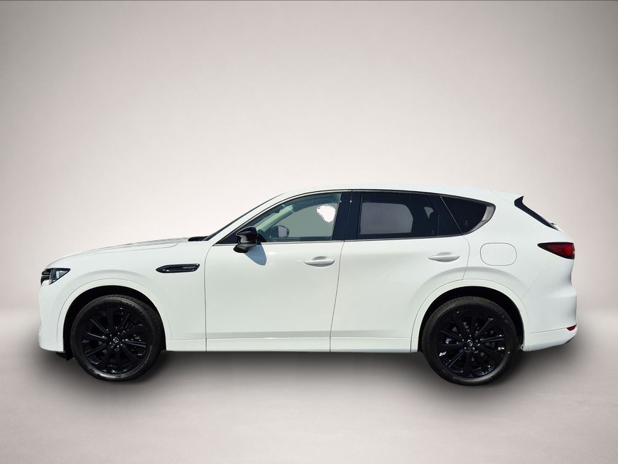 Mazda CX-60 (11/2022, Benzin)