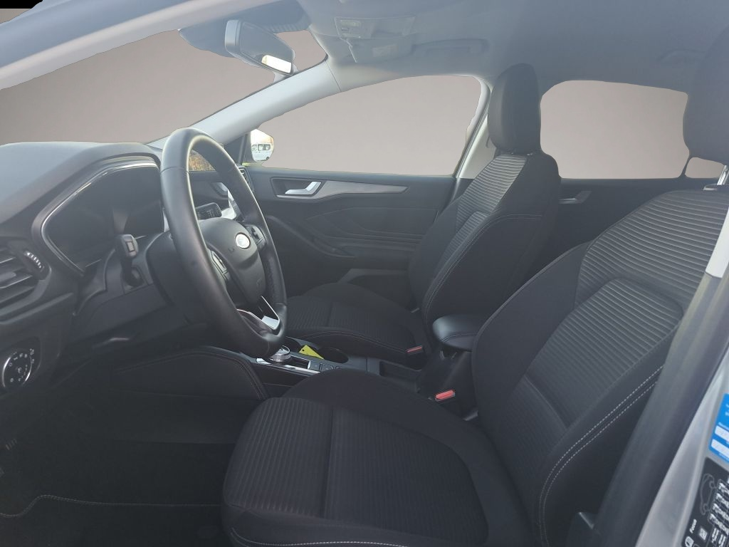 Ford Focus (01/2024, )