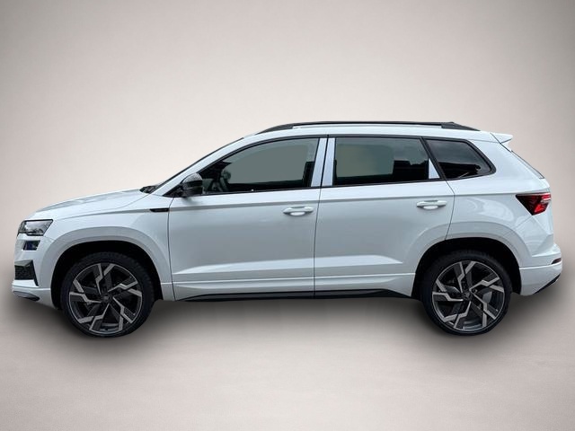 Skoda Karoq (06/2026, Benzin)