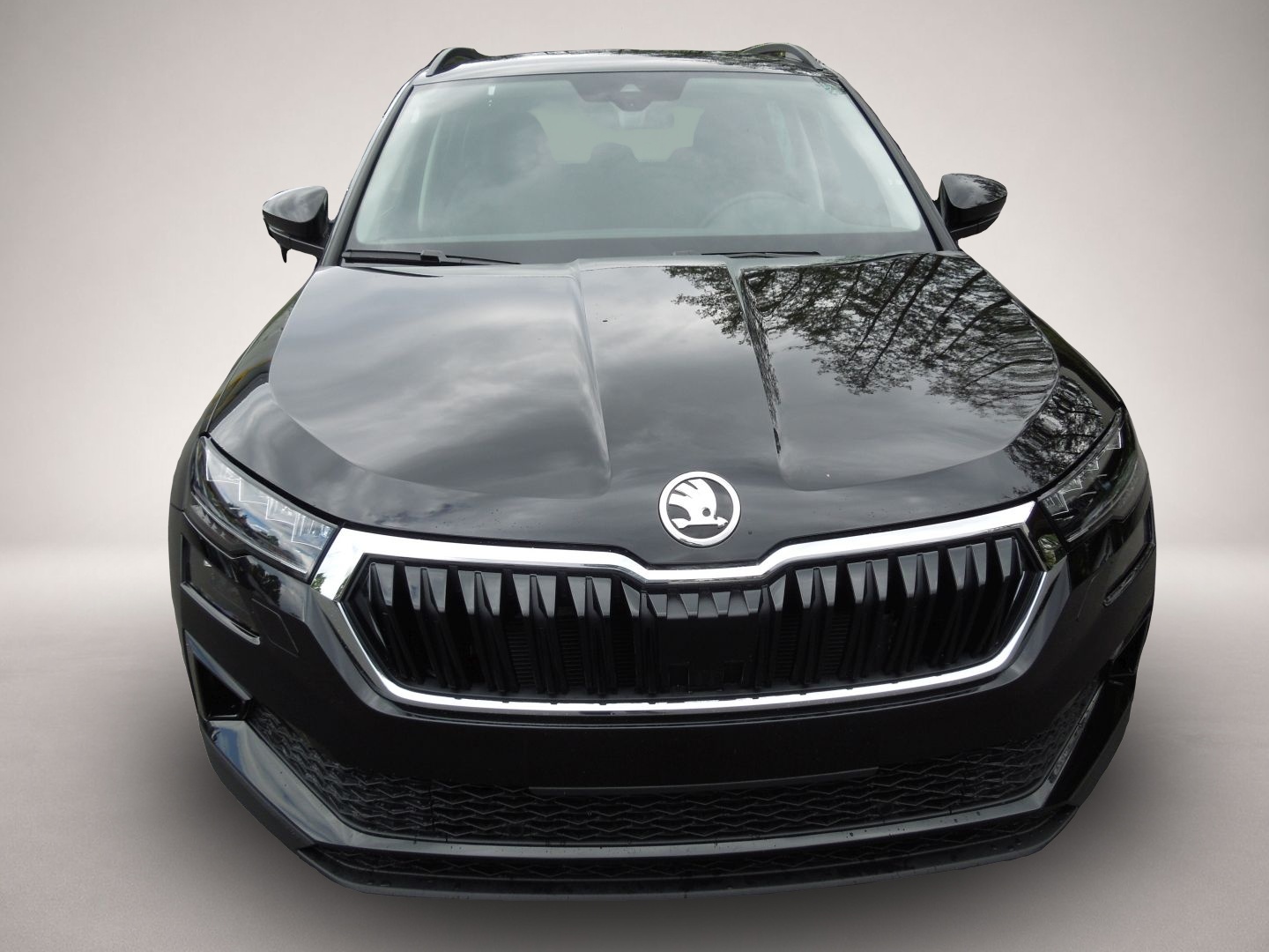 Skoda Karoq, Bild 2 von 8