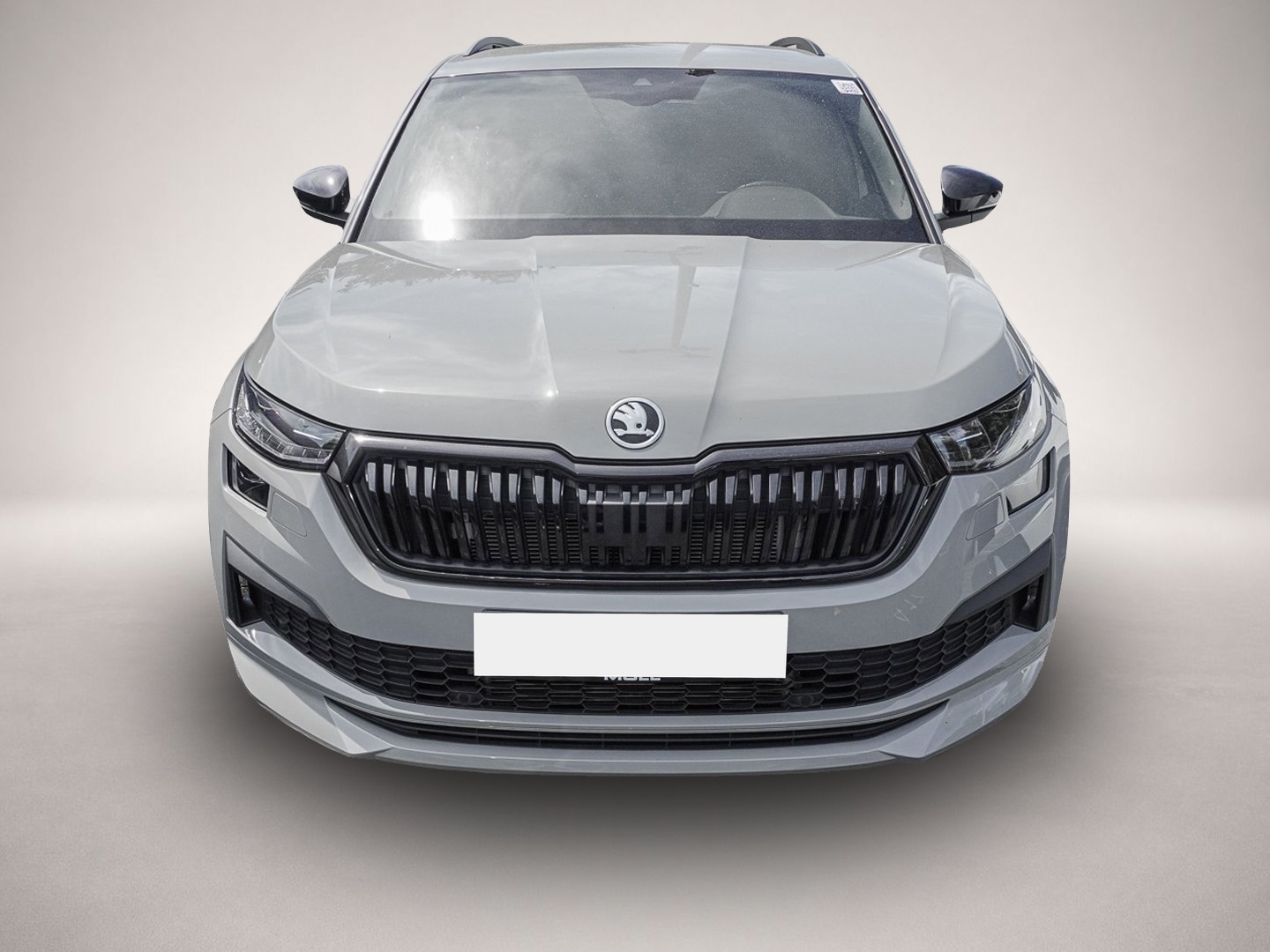 Skoda Kodiaq (04/2024, )