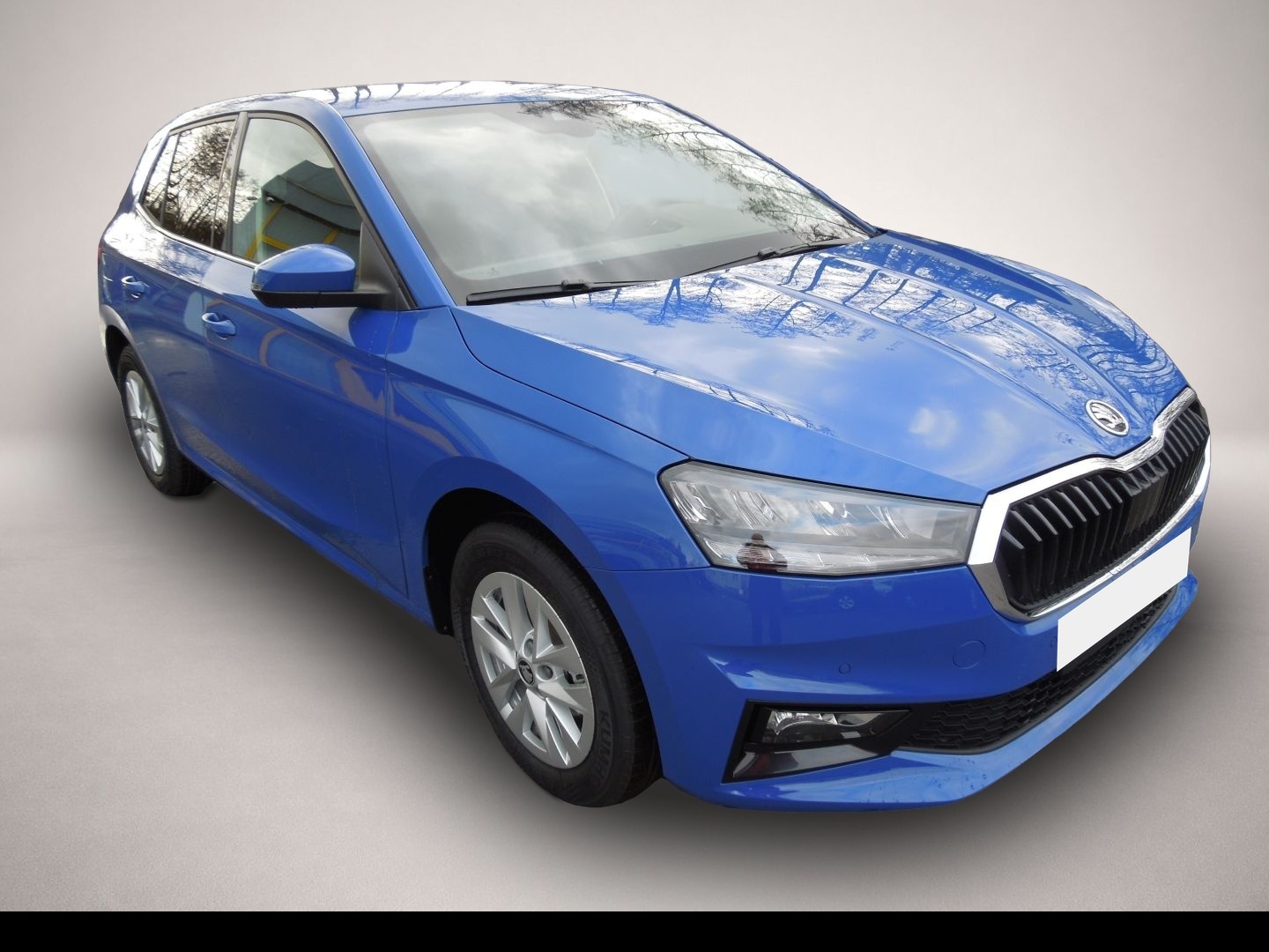 Skoda Fabia (06/2026, Benzin)