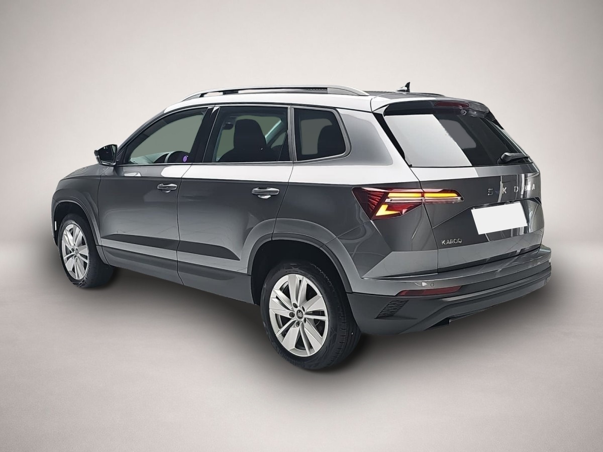 Skoda Karoq, Bild 4 von 5