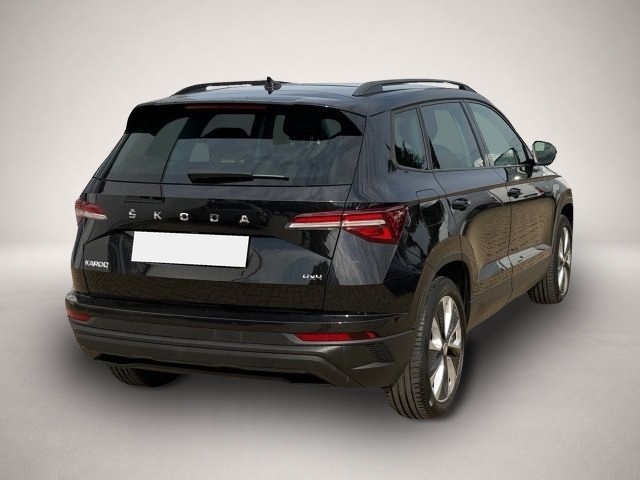 Skoda Karoq (01/2023, )