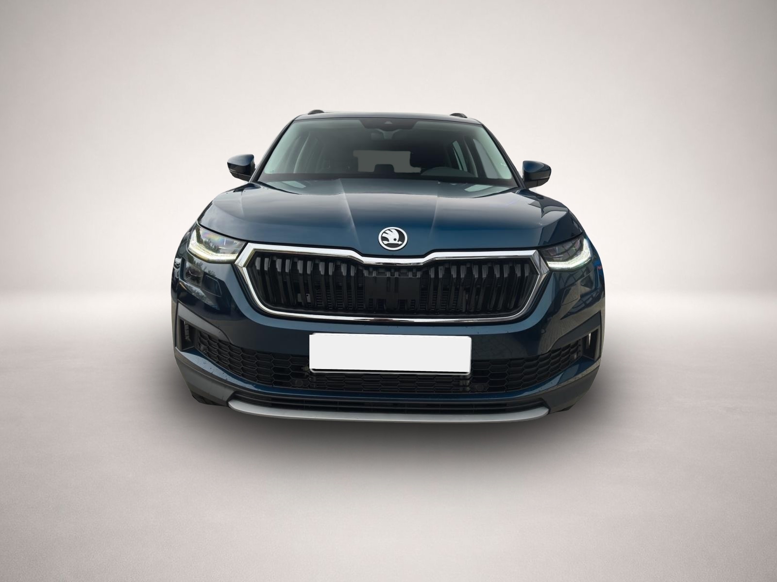Skoda Kodiaq (12/2022, Diesel)