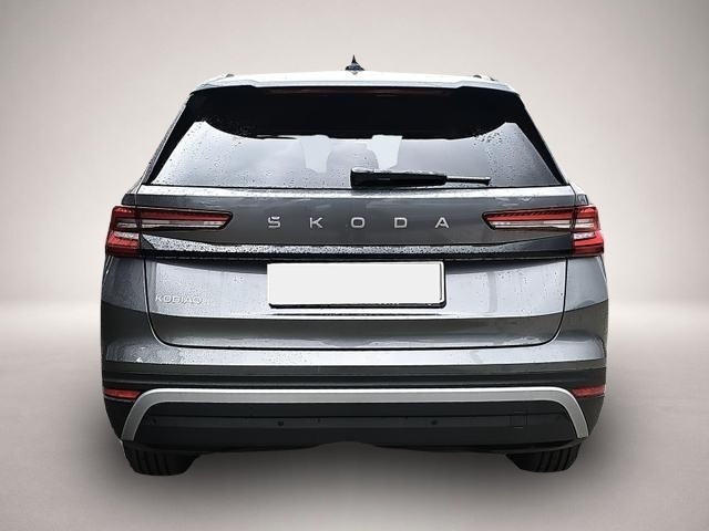 Skoda Kodiaq (01/2026, Benzin)