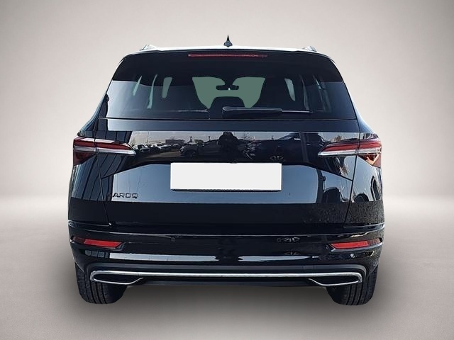 Skoda Karoq (04/2026, Benzin)