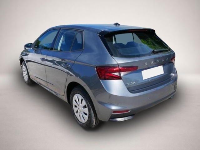 Skoda Fabia (06/2026, Benzin)
