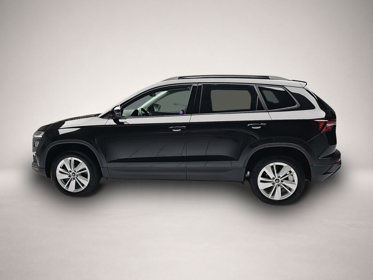 Skoda Karoq, image 4 of 4