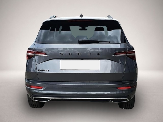 Skoda Karoq (02/2026, Benzin)