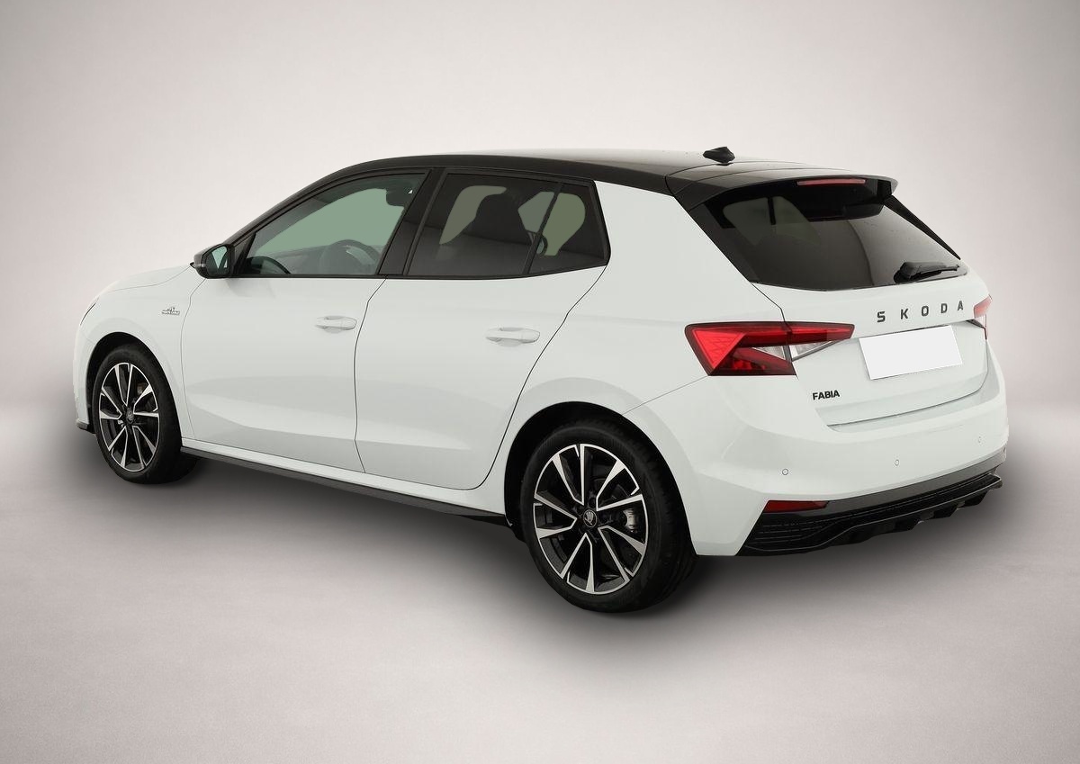 Skoda Fabia (06/2026, Benzin)