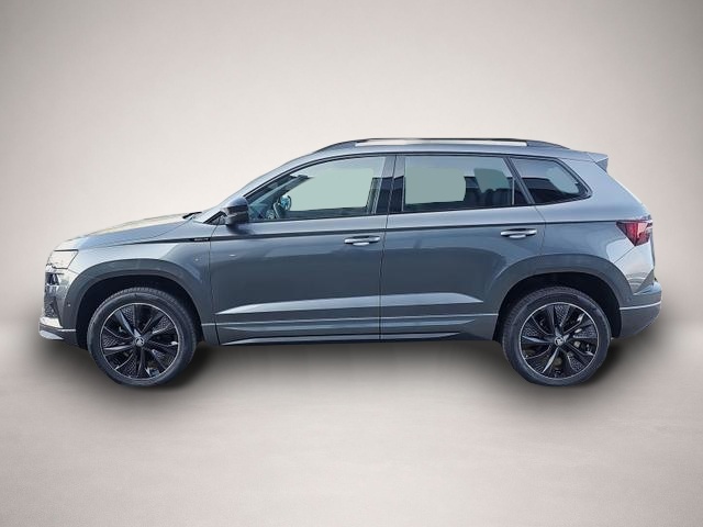 Skoda Karoq (04/2026, Benzin)