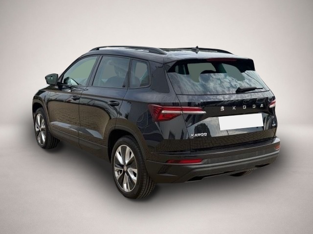 Skoda Karoq (01/2023, )