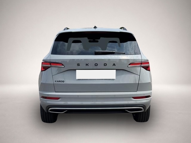 Skoda Karoq (07/2026, Benzin)