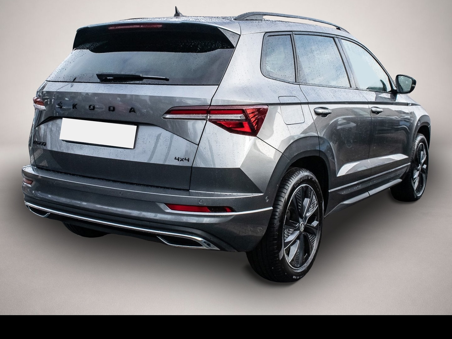 Skoda Karoq (01/2023, )