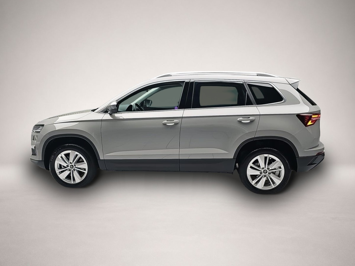 Skoda Karoq, image 4 of 4