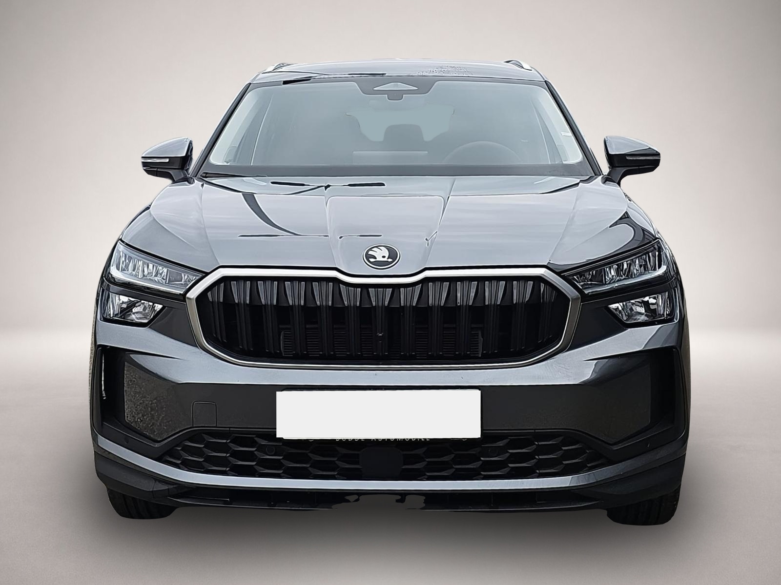 Skoda Kodiaq (02/2026, Diesel)