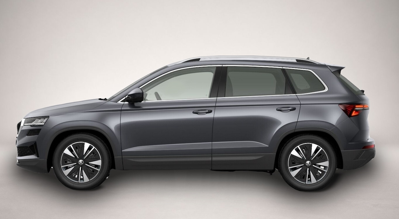 Skoda Karoq (06/2026, Benzin)