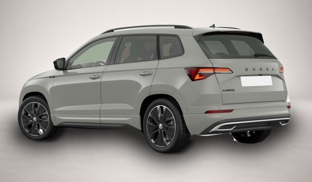 Skoda Karoq (07/2026, Benzin)