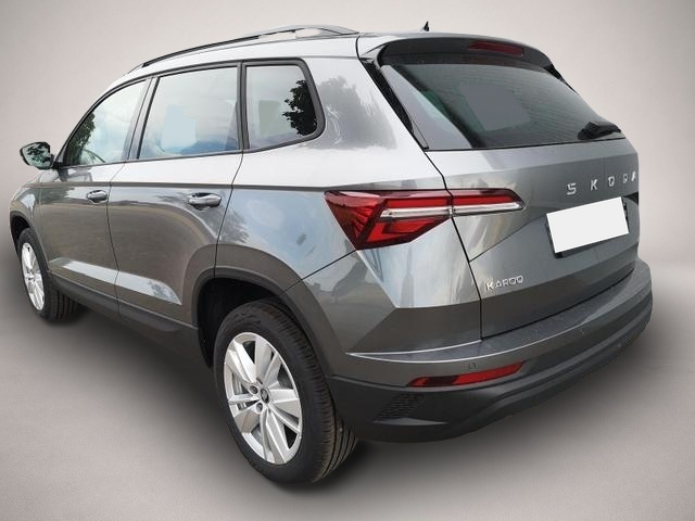 Skoda Karoq (07/2026, Benzin)