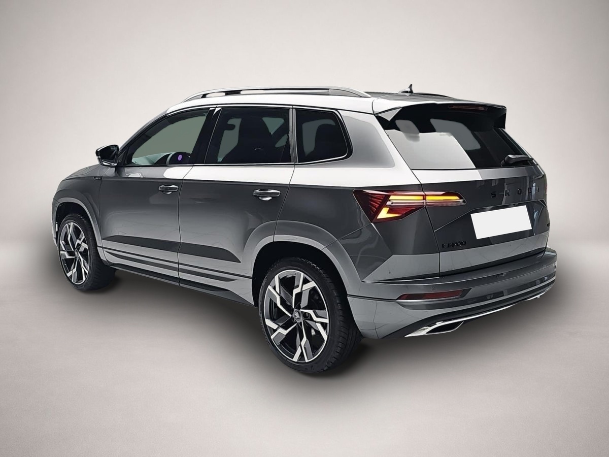Skoda Karoq, image 3 of 4