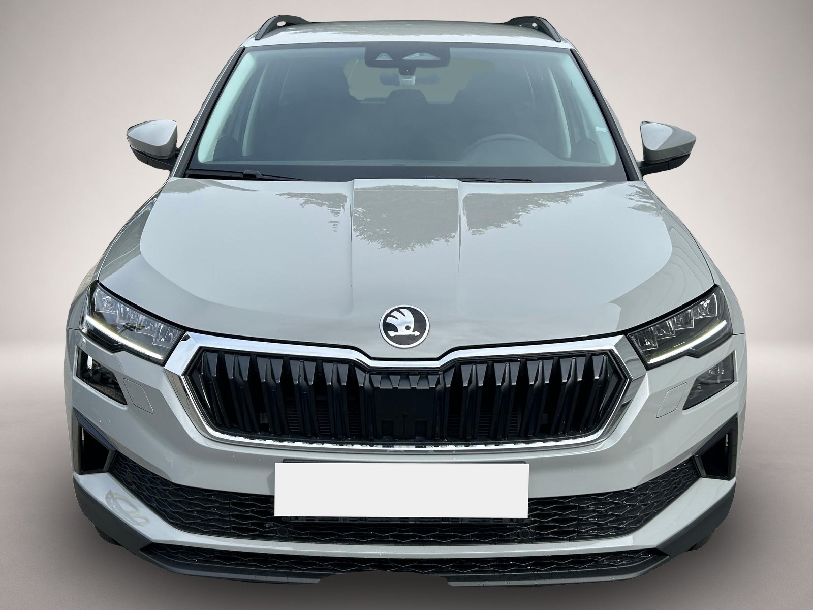 Skoda Karoq, Bild 2 von 5