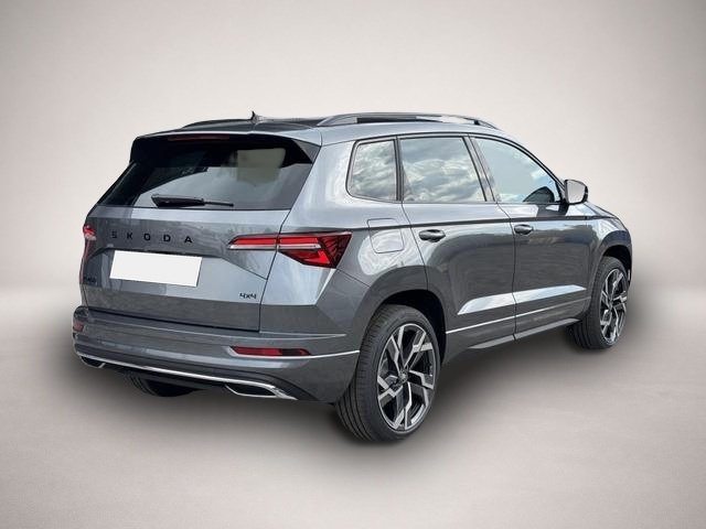 Skoda Karoq (07/2026, Benzin)