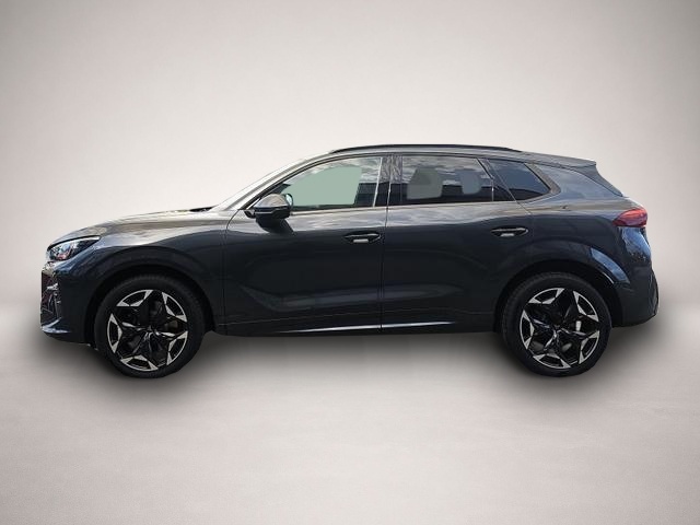 Cupra Terramar (04/2026, Benzin)