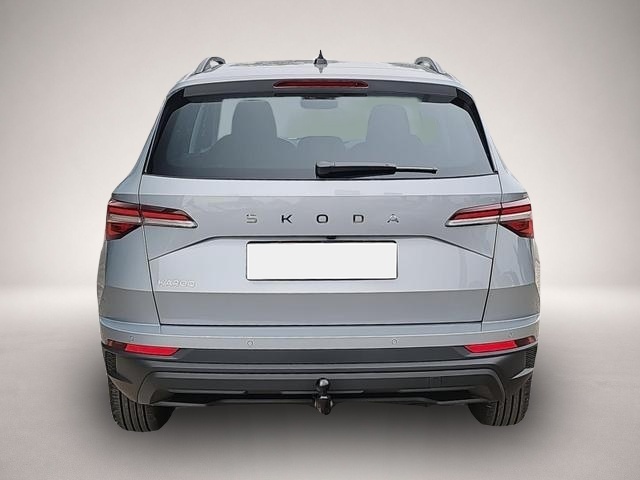 Skoda Karoq (07/2026, Benzin)