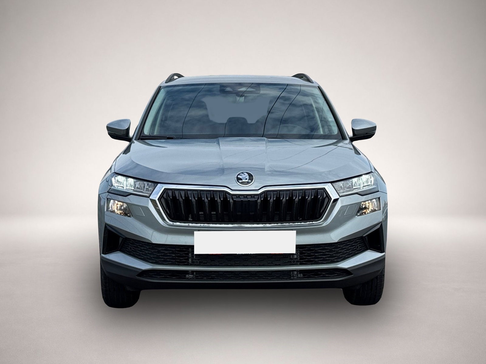 Skoda Karoq (07/2026, Benzin)